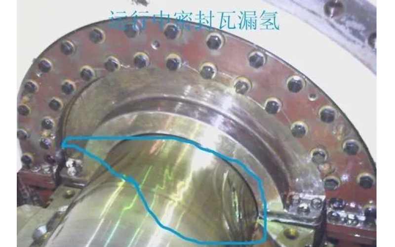 北京IOS/安卓通用版/手机APP入口-发电机漏氢怎么办，原因及对策分享